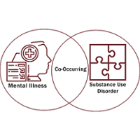 Co Occurring Disorders Court